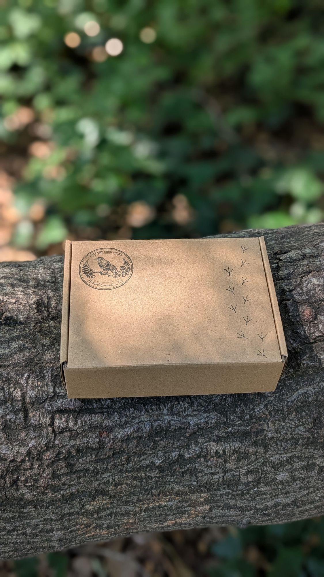 A kraft box stamped with the crow seal, resting on a fallen tree