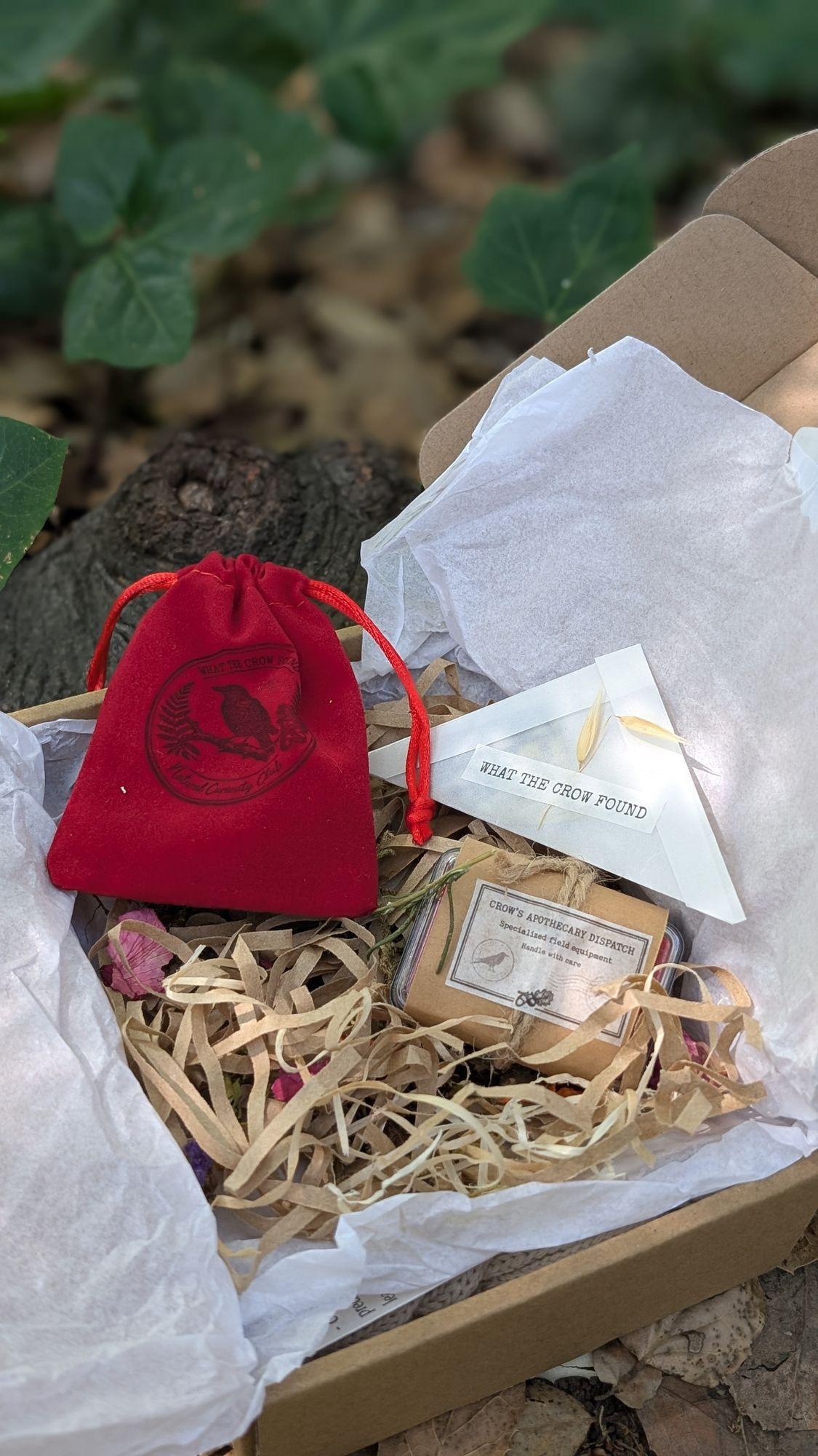 An opened kraft box holding a stamped velvet pouch, a specimen envelope and a field tin