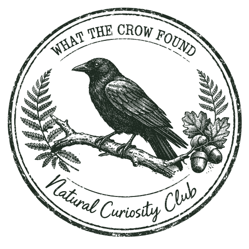 Crow mark